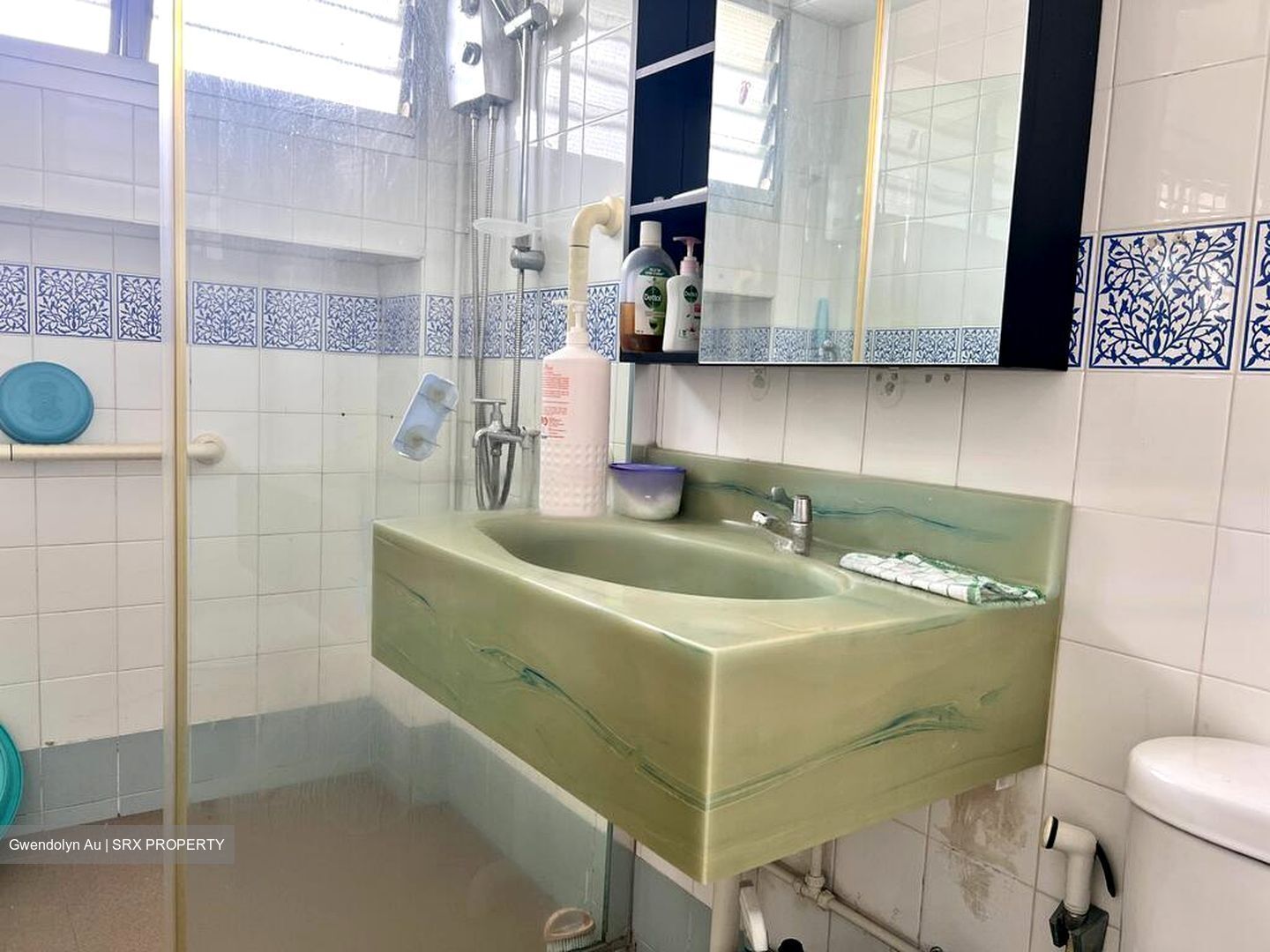 Blk 250 Pasir Ris Street 21 (Pasir Ris), HDB Executive #446923211
